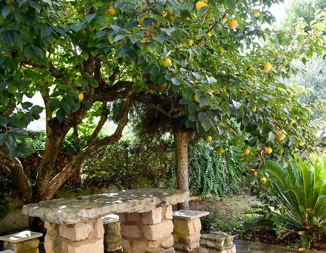 Teodora Maria Appartement Novigrad Istria
