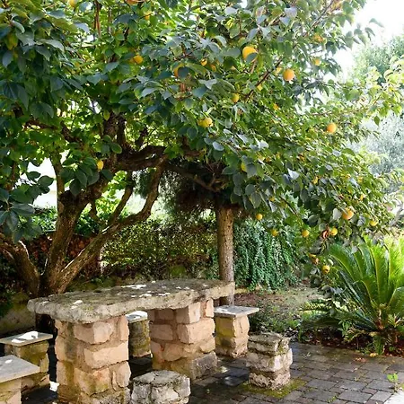 Teodora Maria Апартаменты Новиград